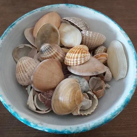 Sun And Ii Ac Wifi 90mts From The Apartamento *