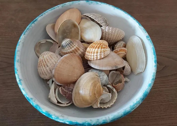 Sun And Ii Ac Wifi 90mts From The Apartament *