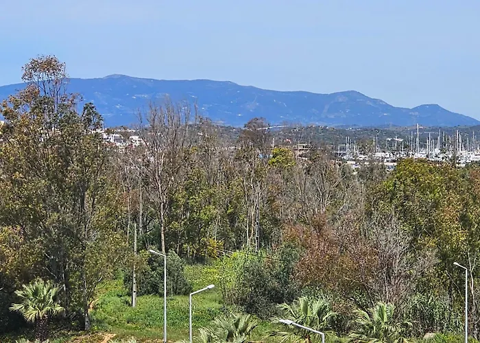 Apartment Sun And Ii Ac Wifi 90mts From The